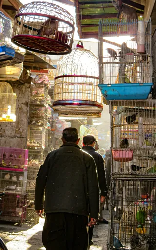 Afghanistan