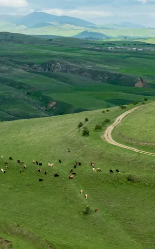 Armenia