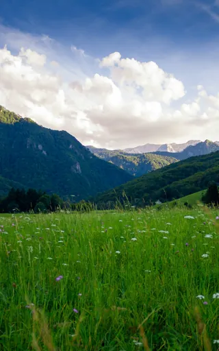 Bosnia and Herzegovina