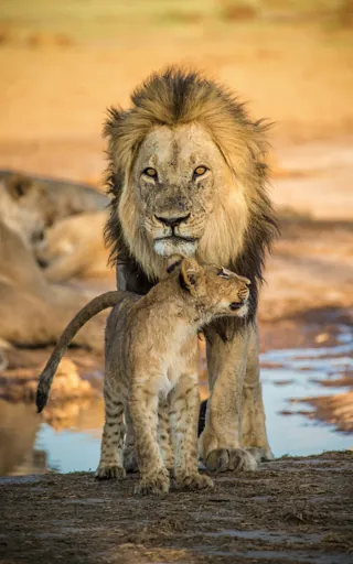 Botswana