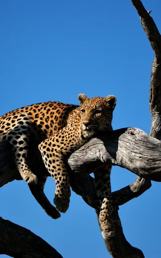 Botswana