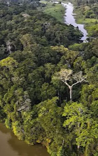 Central African Republic