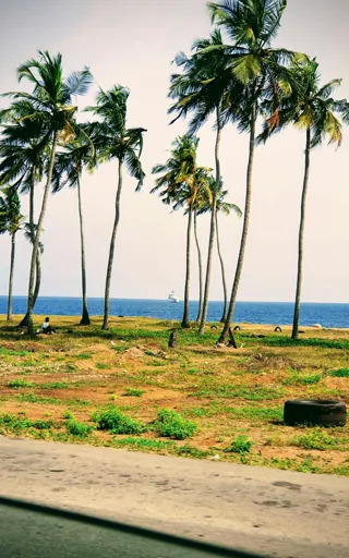 Cote D'Ivoire (Ivory Coast)