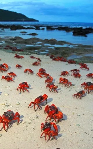 Christmas Island