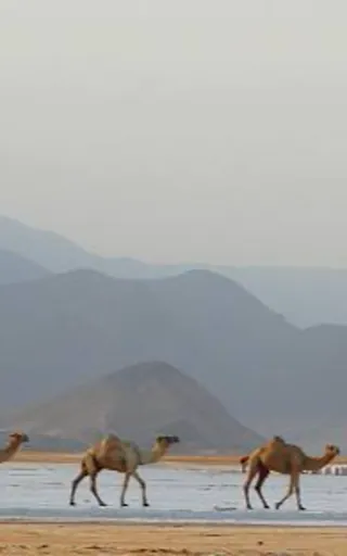 Djibouti