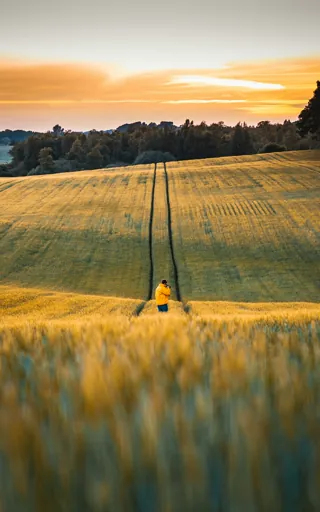 Denmark