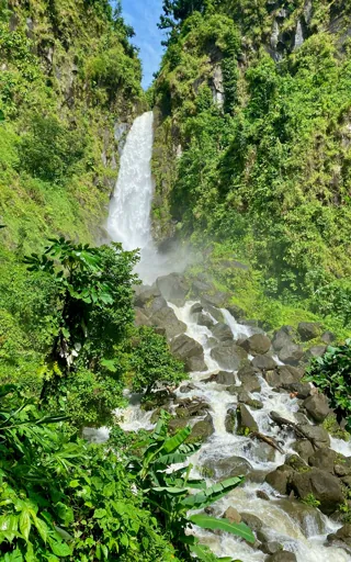 Dominica