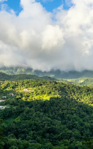 Dominica