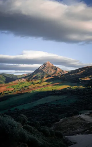 Algeria
