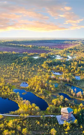 Estonia