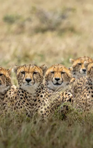 Kenya
