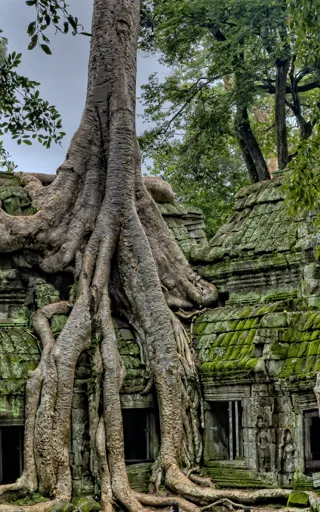 Cambodia