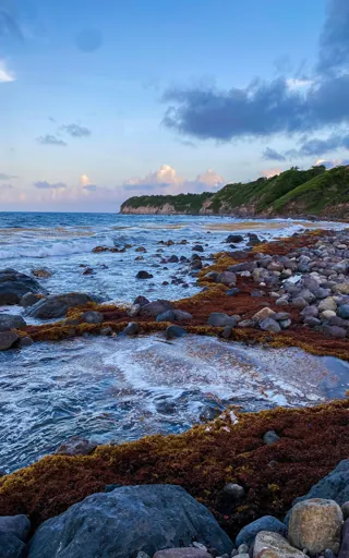 Saint Kitts And Nevis