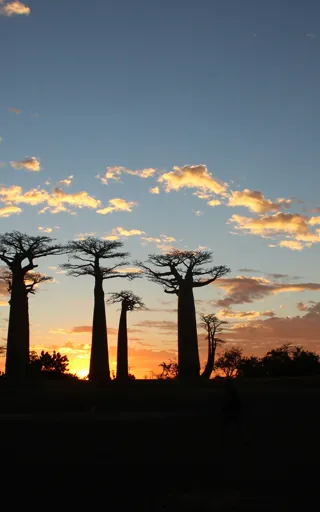 Madagascar