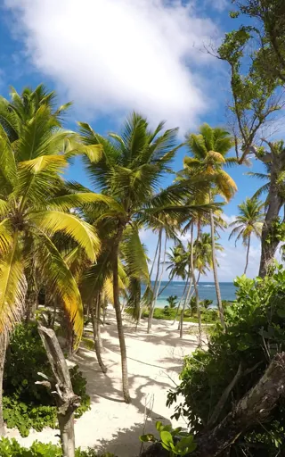 Martinique