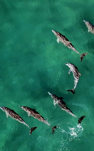 Mozambique