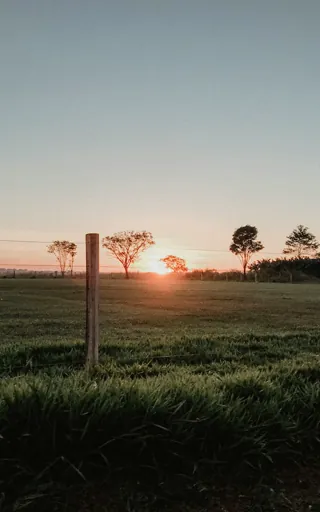 Paraguay