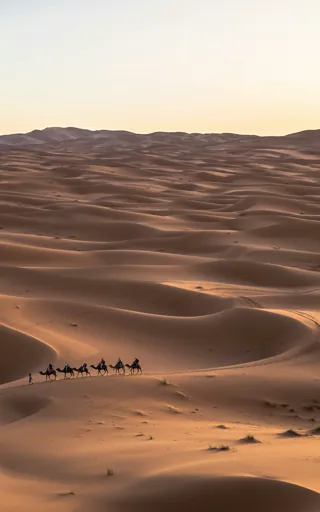 Saudi Arabia