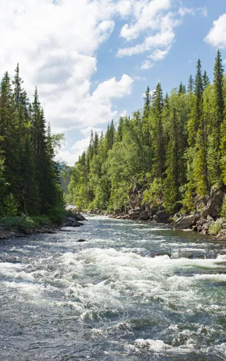 Sweden