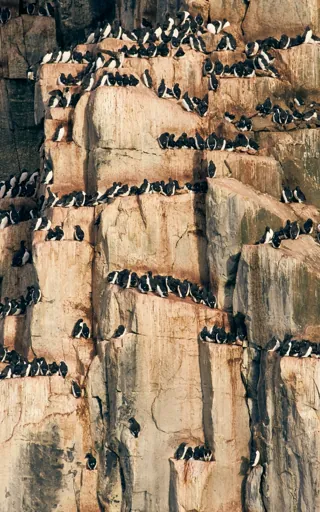 Svalbard And Jan Mayen Islands