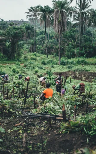 Sierra Leone