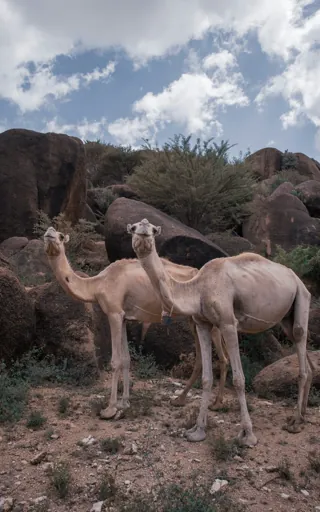 Somalia