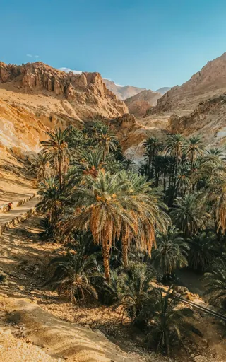 Tunisia