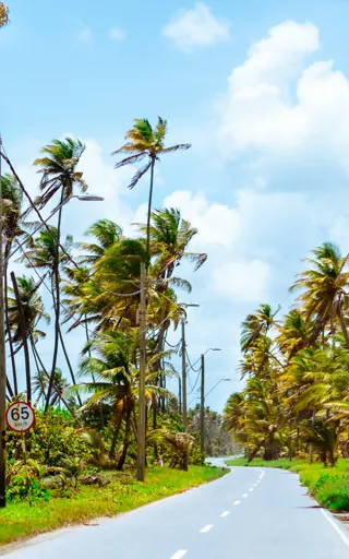 Trinidad And Tobago
