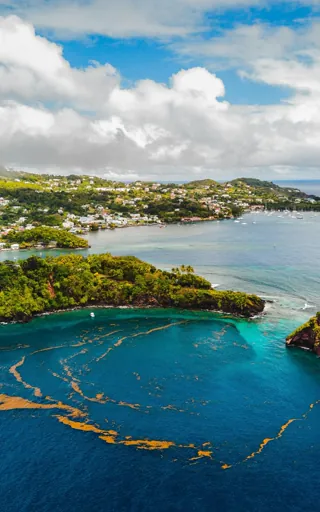Saint Vincent And The Grenadines