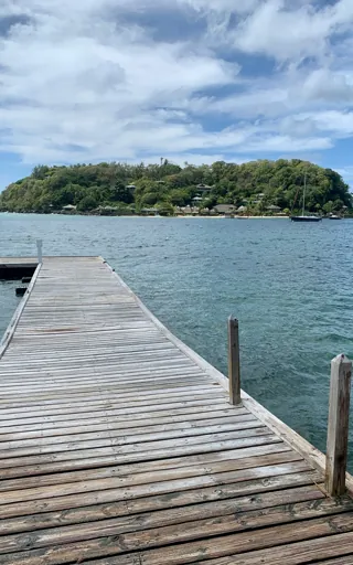 Saint Vincent And The Grenadines