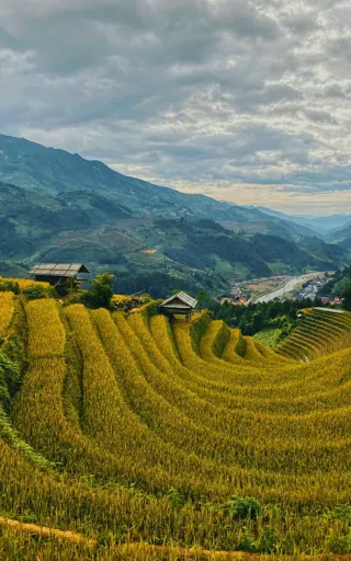 Vietnam