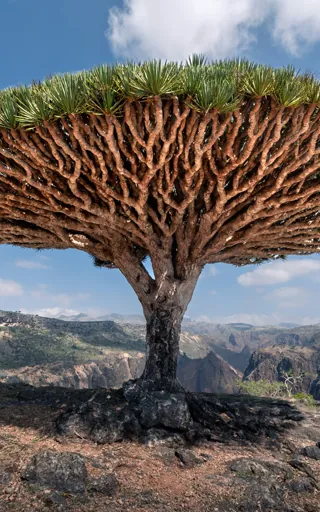 Yemen