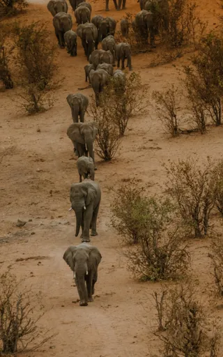 Zimbabwe