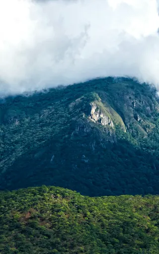 Zimbabwe